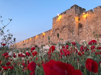 Excursion d’une journée à Jérusalem et à la mer Morte au départ de Tel Aviv